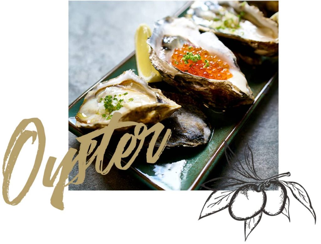 oyster 3 1